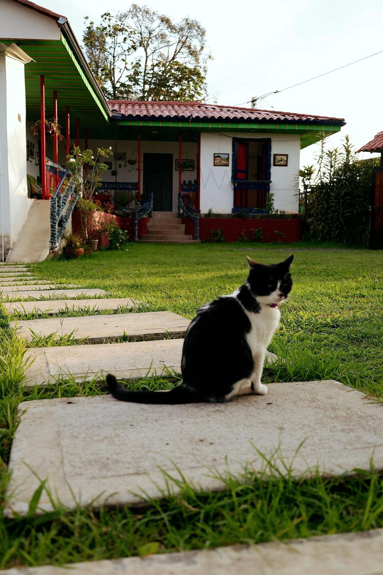 Hacienda Boutique Santa Rosanna Βίλα Santa Rosa de Cabal Εξωτερικό φωτογραφία